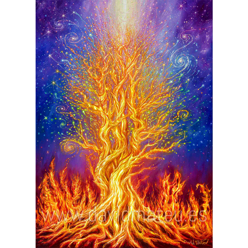 El Árbol de Fuego
