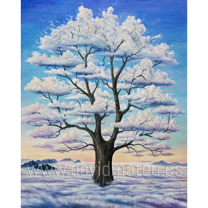 El Árbol de Nubes