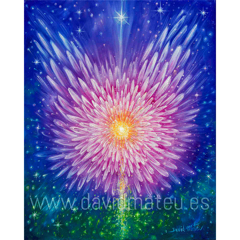 Ángel de la Belleza