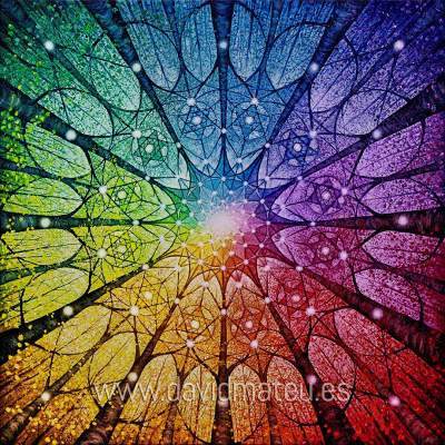 El Mandala de la Vida