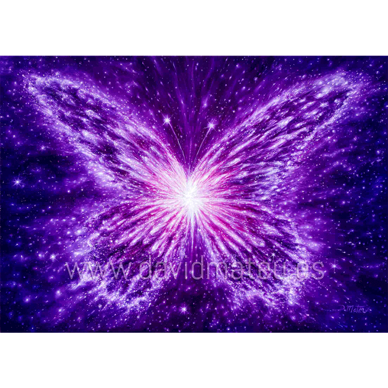 Mariposa de la Transmutación