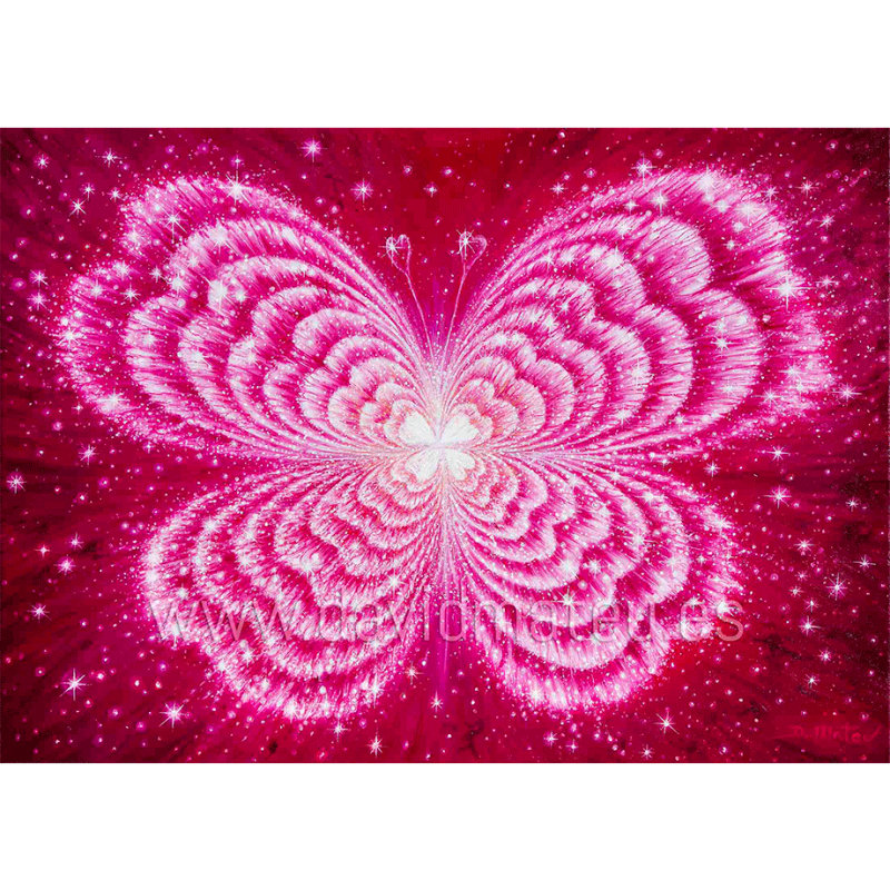 Mariposa del Corazón