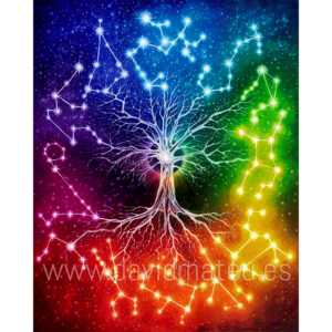 El Árbol de las Constelaciones