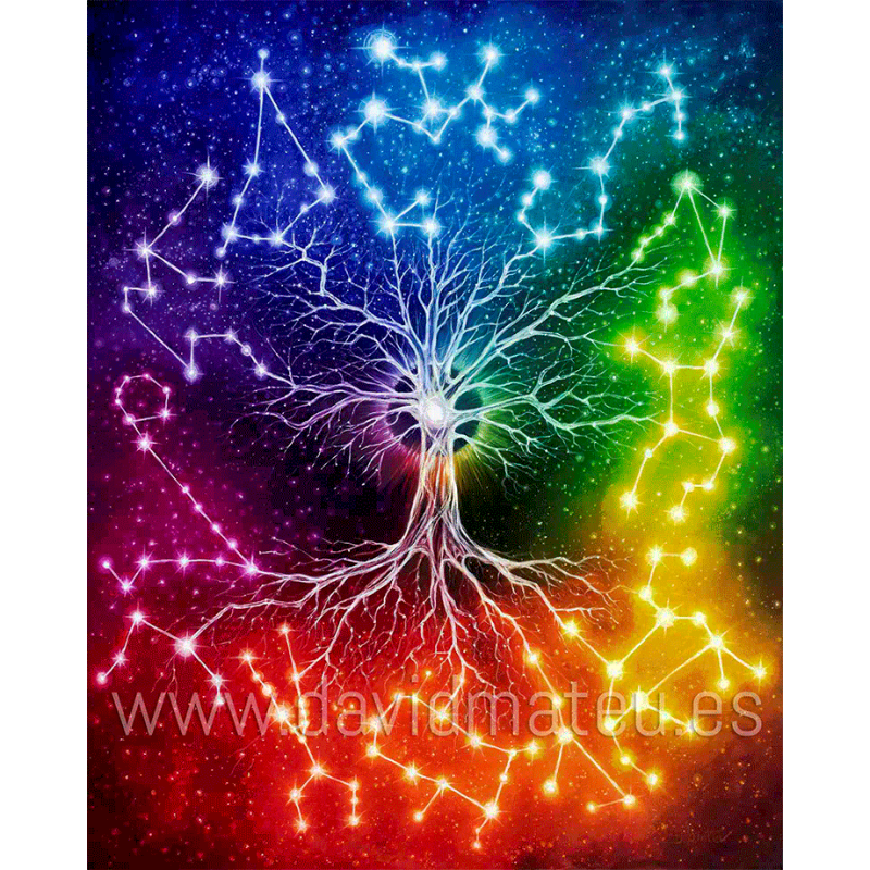 El Árbol de las Constelaciones