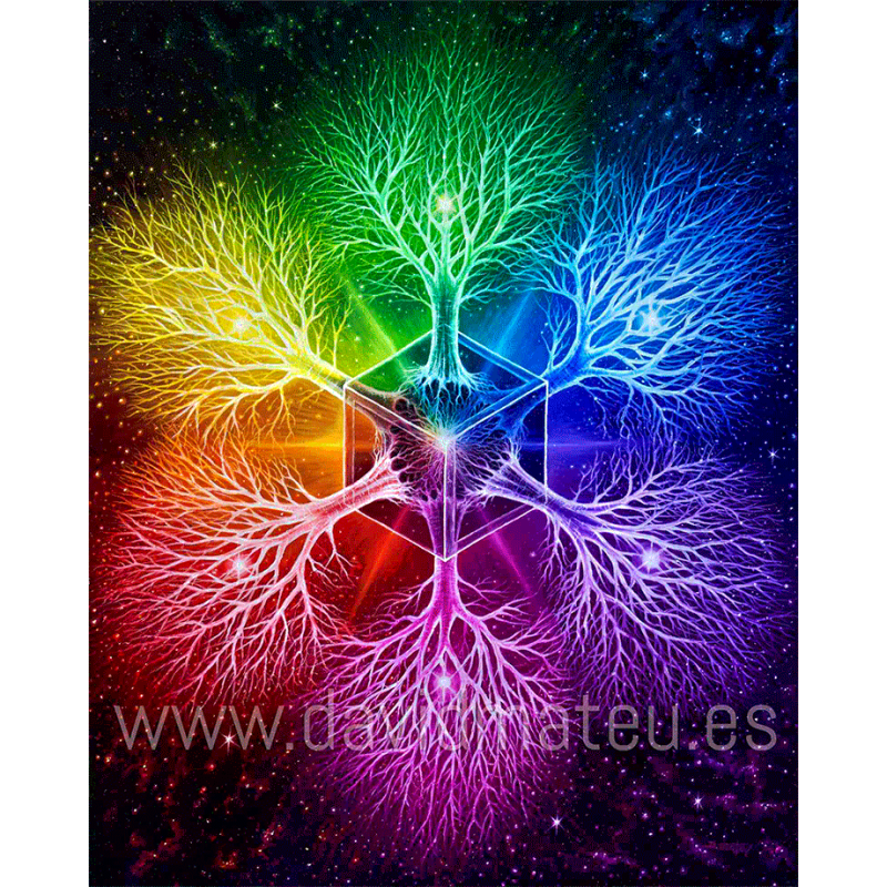 Las 7 dimensiones del Espíritu