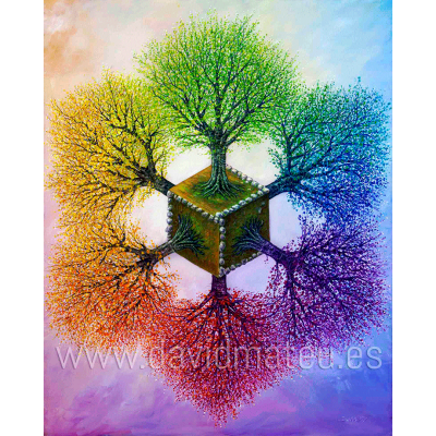 Las 7 Dimensiones de la Materia