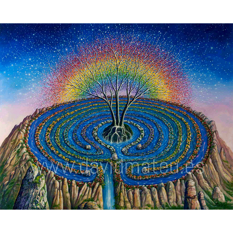 Camino de las Estrellas