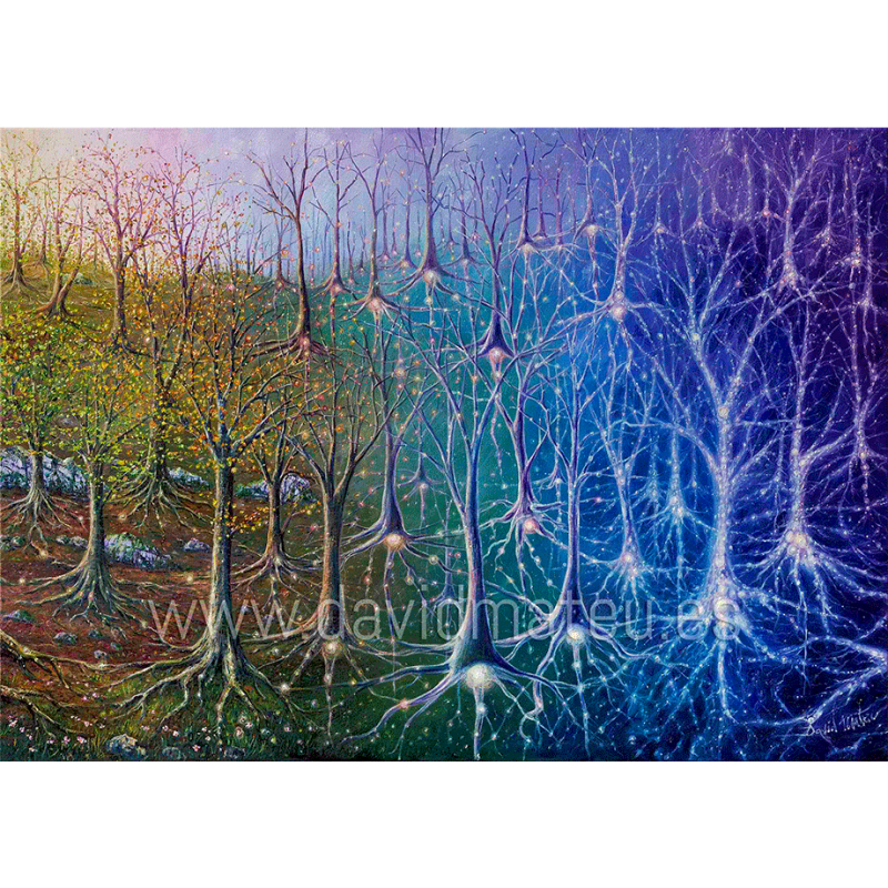 El Bosque Neuronal Galáctico