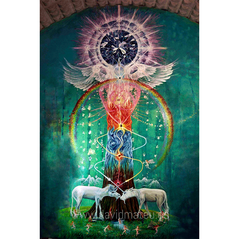 El Árbol de las Transformaciones