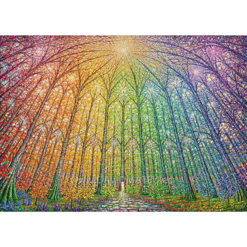 El Bosque de Luz