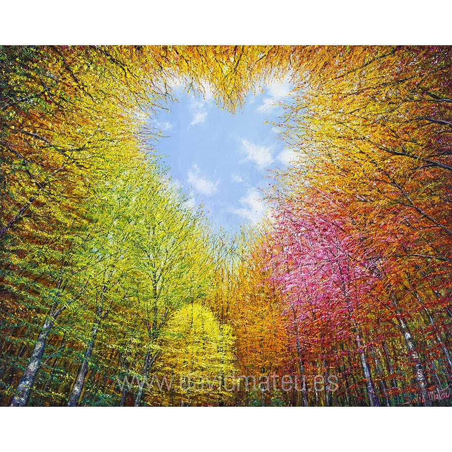 El Corazón del Bosque