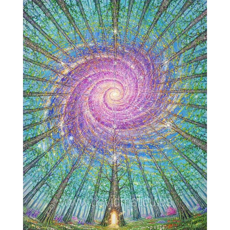 El Bosque Galáctico